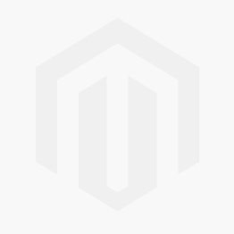 Zubie Fleet Connect Annual Subscription - Light $180/year